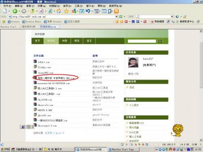 弄潮儿.JPG